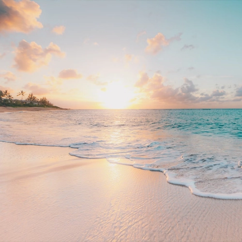 Camping les Peupliers - David's Clone Project